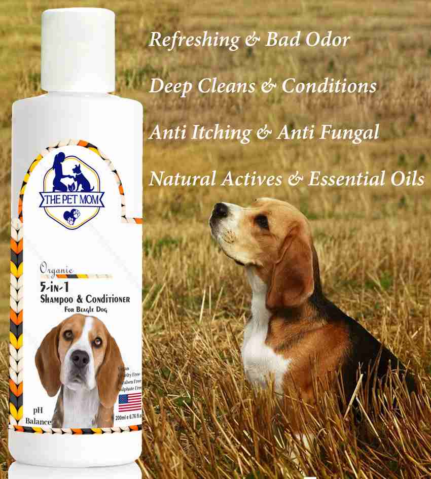 THE PET MOM 5 In 1 Shampoo Conditioner For Beagle Dog Puppy Deep Cleans Refreshing Conditioning Fresh Fragrance Anti Itching Anti Fungal Bad Odor All Dog Breed Dog Shampoo Price