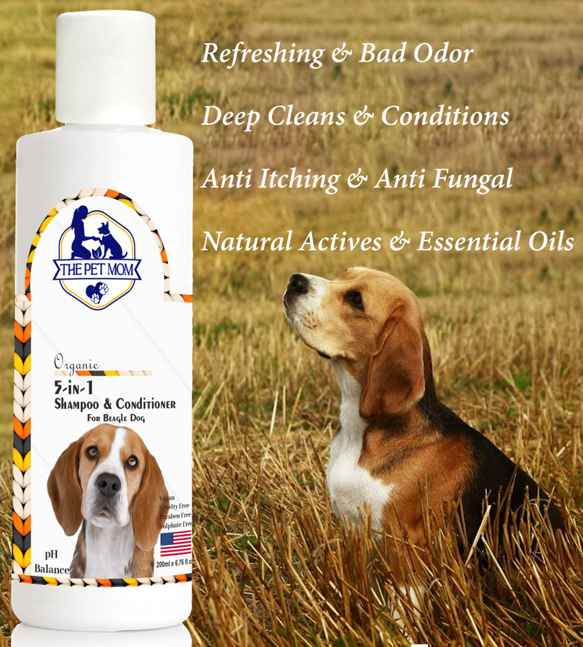 Deep conditioner for on sale dogs