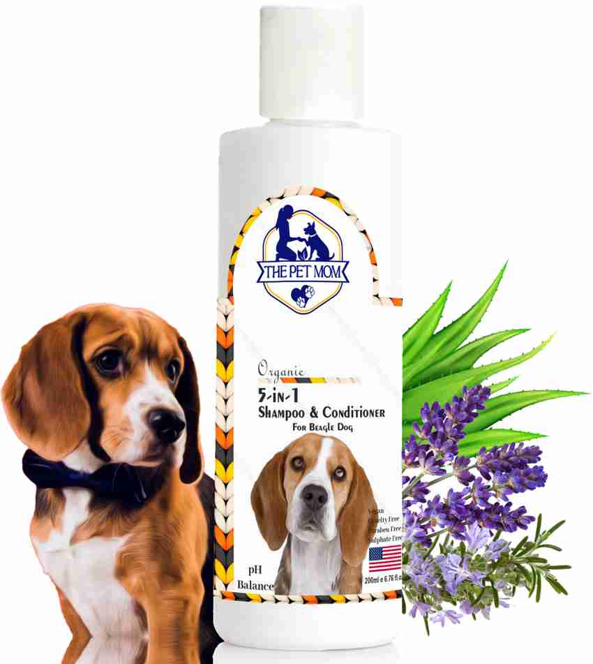 Dog shampoo for bad odor online