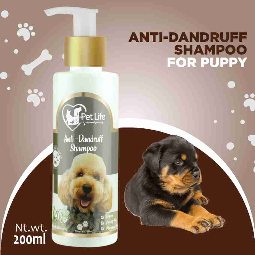 Pet Life Organic Anti Dandruff Shampoo For Puppy Effective To Anti dandruff Anti fungal Flea and Tick Anti itching Safe Effective Pet Friendly Formula For All Puppy Breed Dog Shampoo Price in