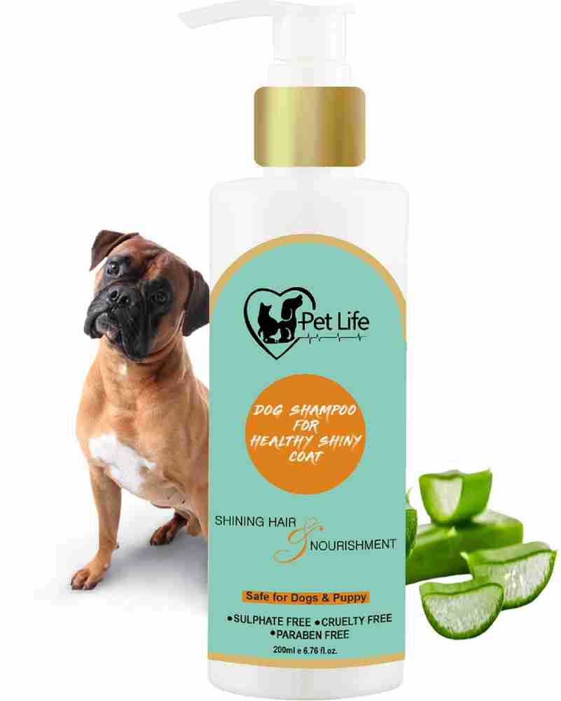 Boxer dog shampoo new arrivals