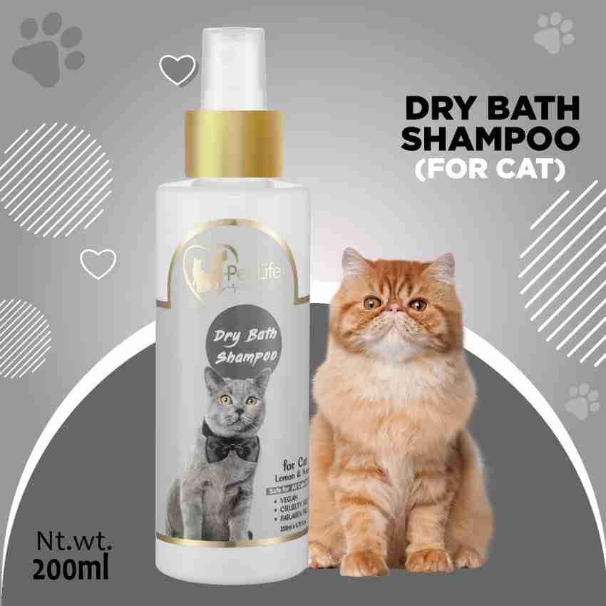 Best dry shampoo for cats shop