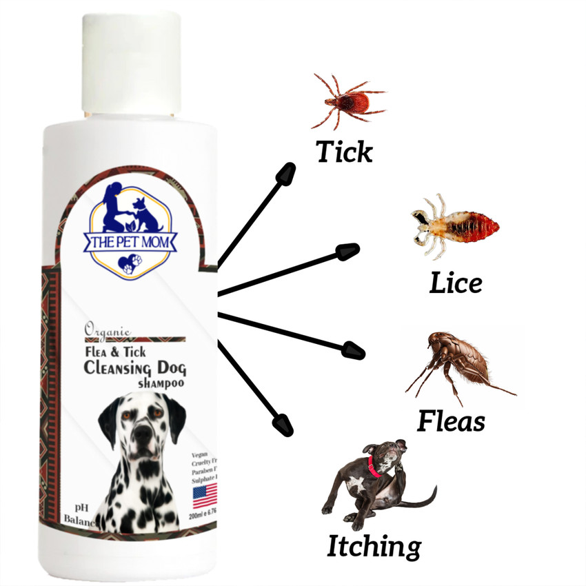 Shih tzu sale flea treatment