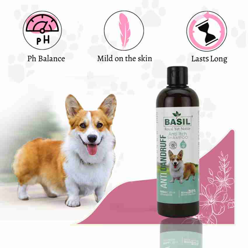 BASIL Anti Itch and Anti Dandruff Shampoo Anti itching Anti dandruff Anti fungal Basil Dog Shampoo