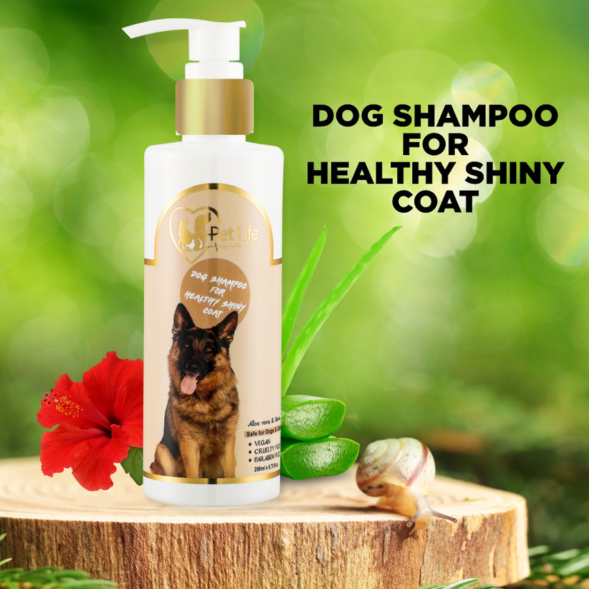 Pet Life Dog Shampoo for Indian Spitz Dog Puppy Healthy Shiny Coat Nourishing Hair Conditioning Fresh Fragrance Healthy Coat Shiny Body Wash Natural Actives All Dog Breed Dog Shampoo