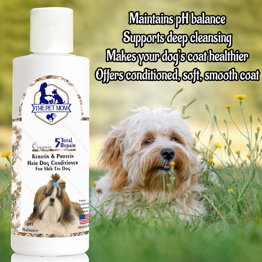 Shih tzu conditioner top