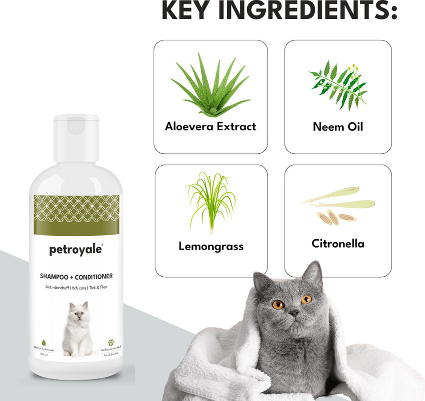 Anti dandruff shampoo for cats new arrivals