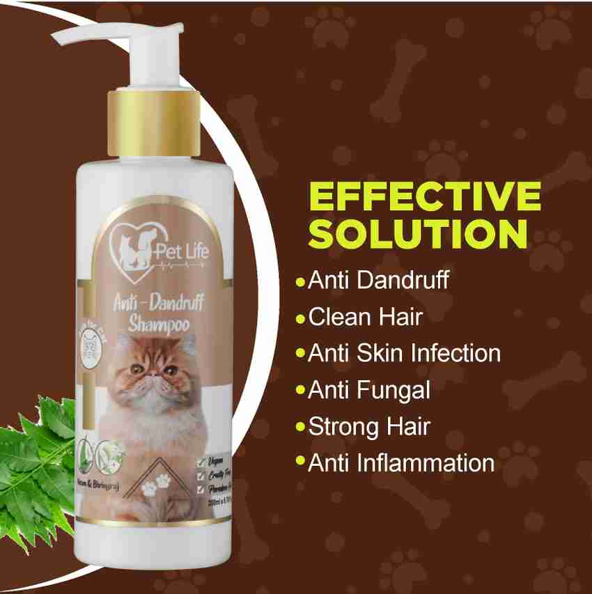 Anti dandruff shampoo outlet for cats