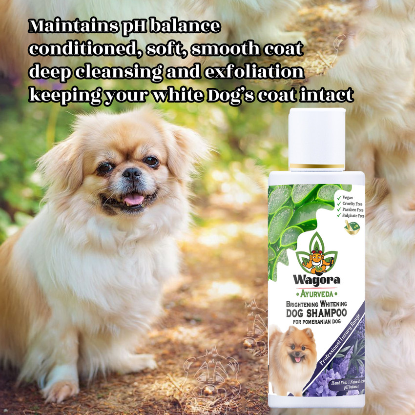 Whitening dog best sale fur
