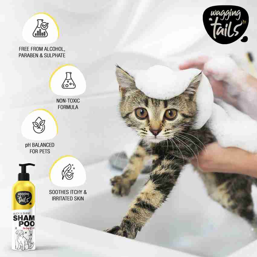 Cat shampoo top vs dog shampoo