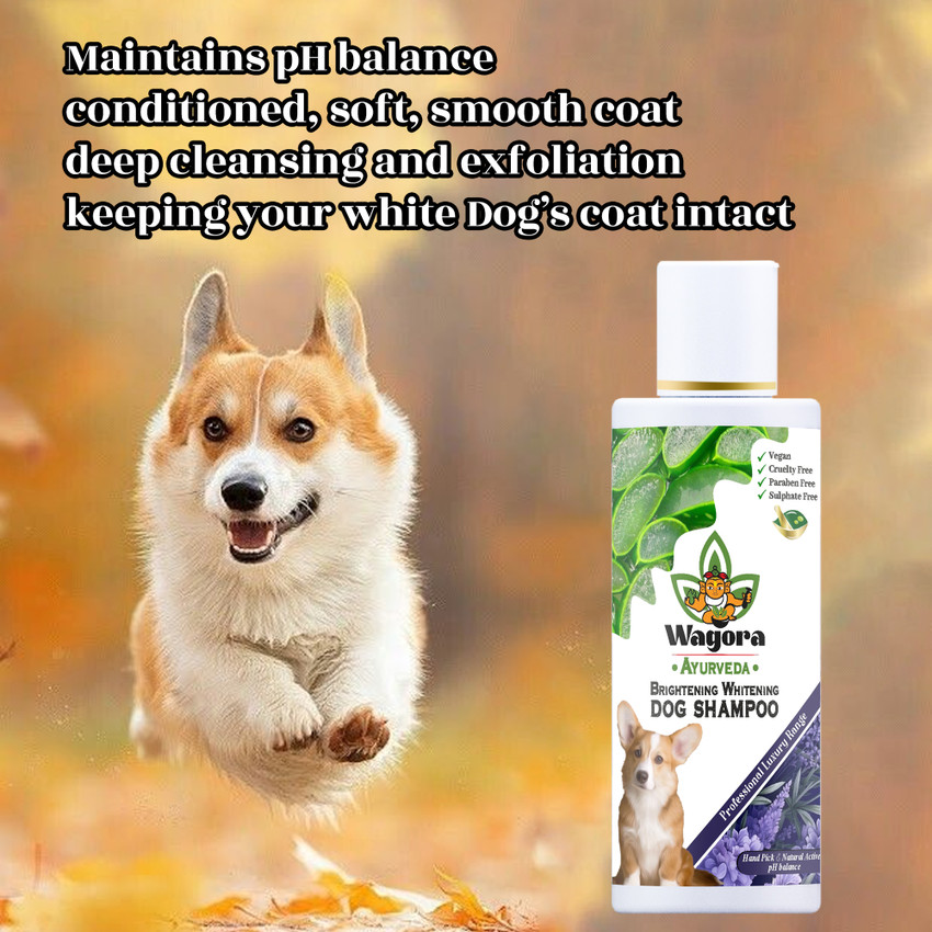 Dog coat whitener hotsell