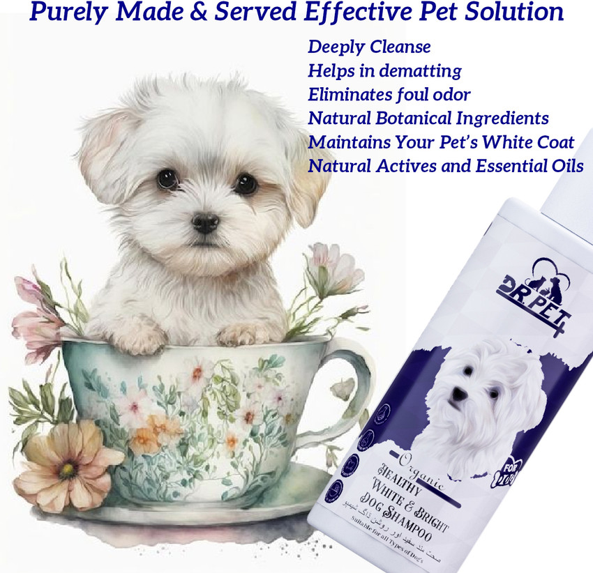 Dematting shampoo hotsell for dogs