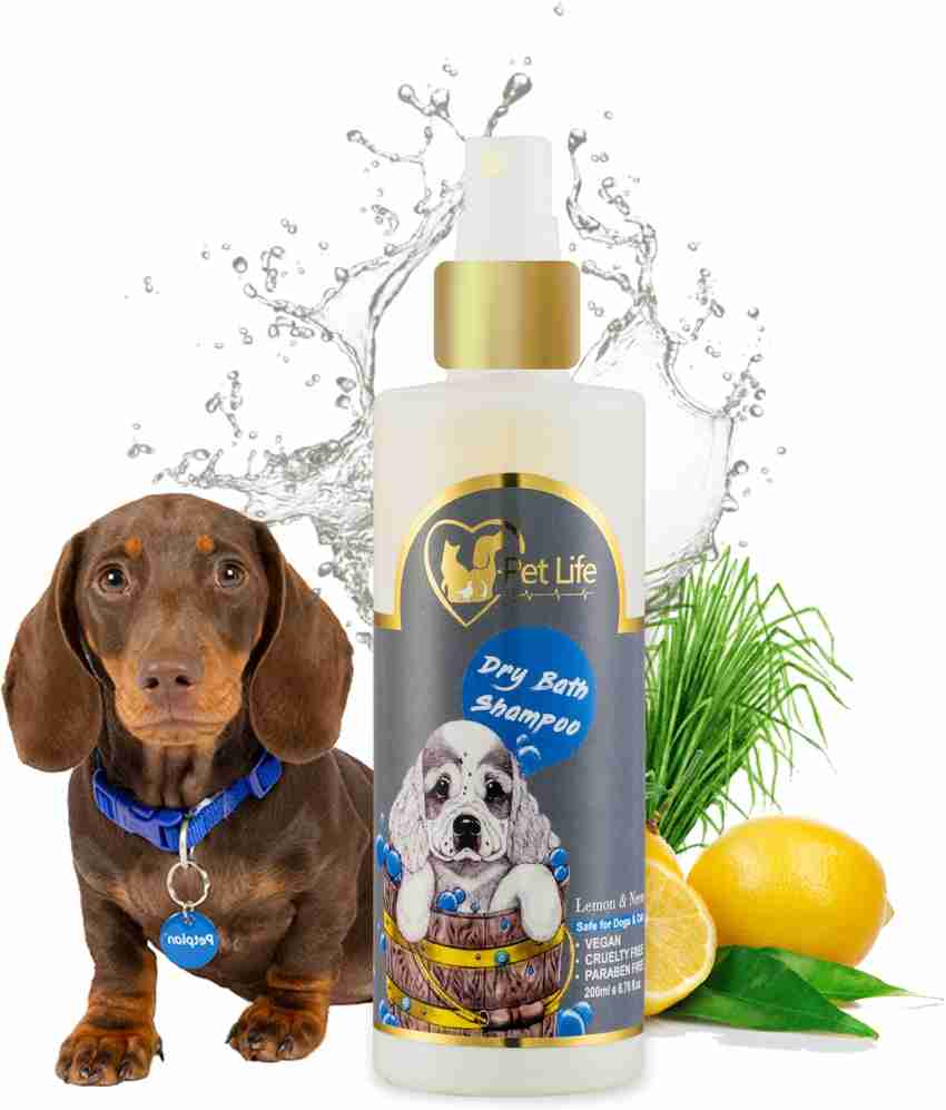 Dachshund shampoo hotsell