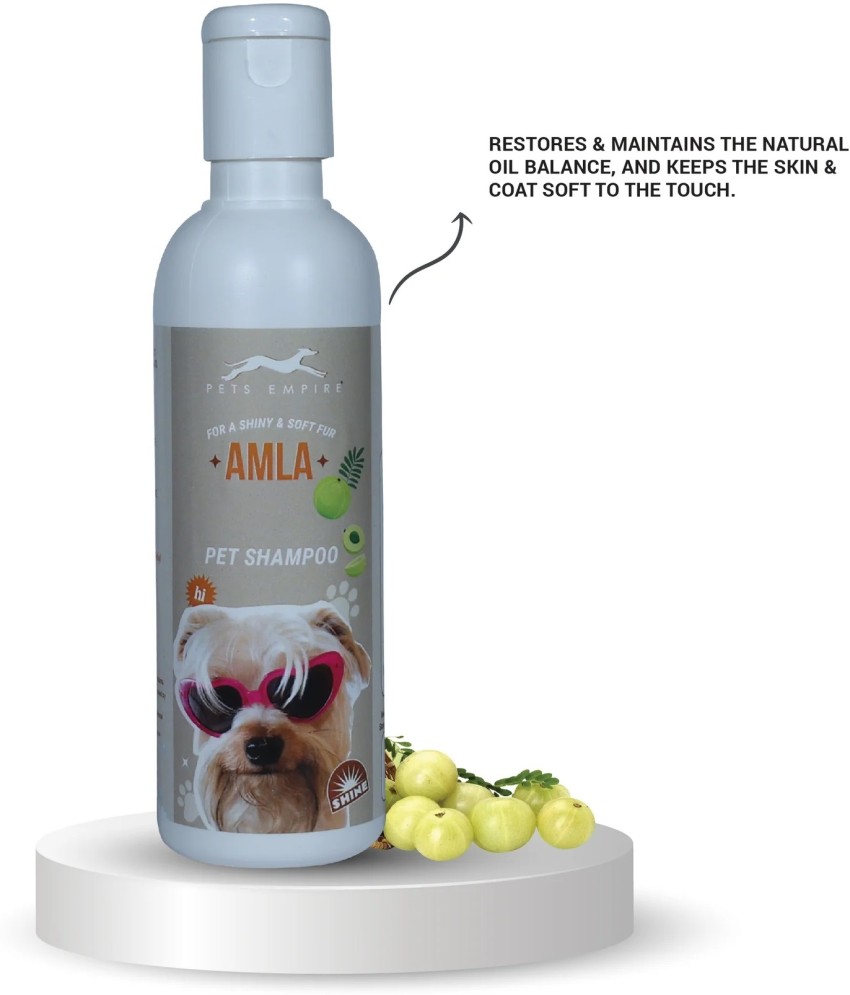 Zweena 2024 dog shampoo