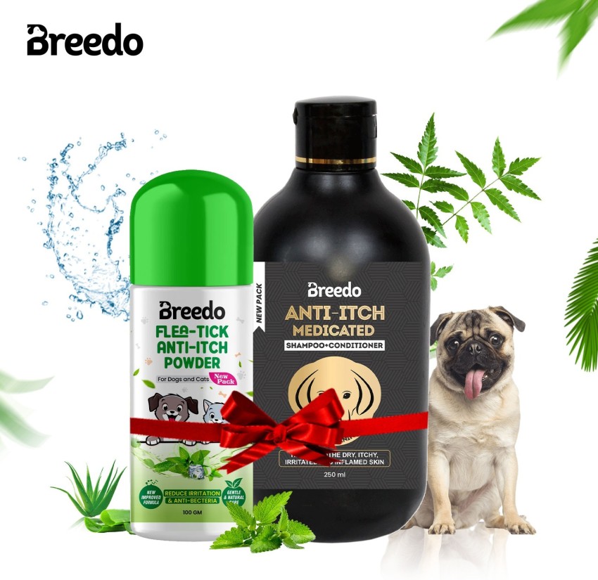 Diy anti itch 2024 shampoo for dogs