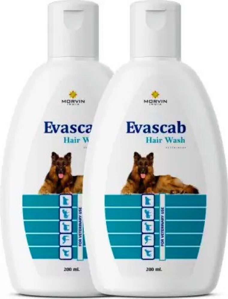 Dog fashion shampoo flipkart