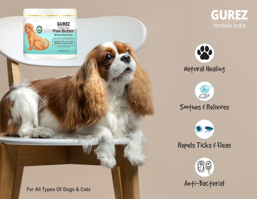 Moisturizing cream for dogs 2025