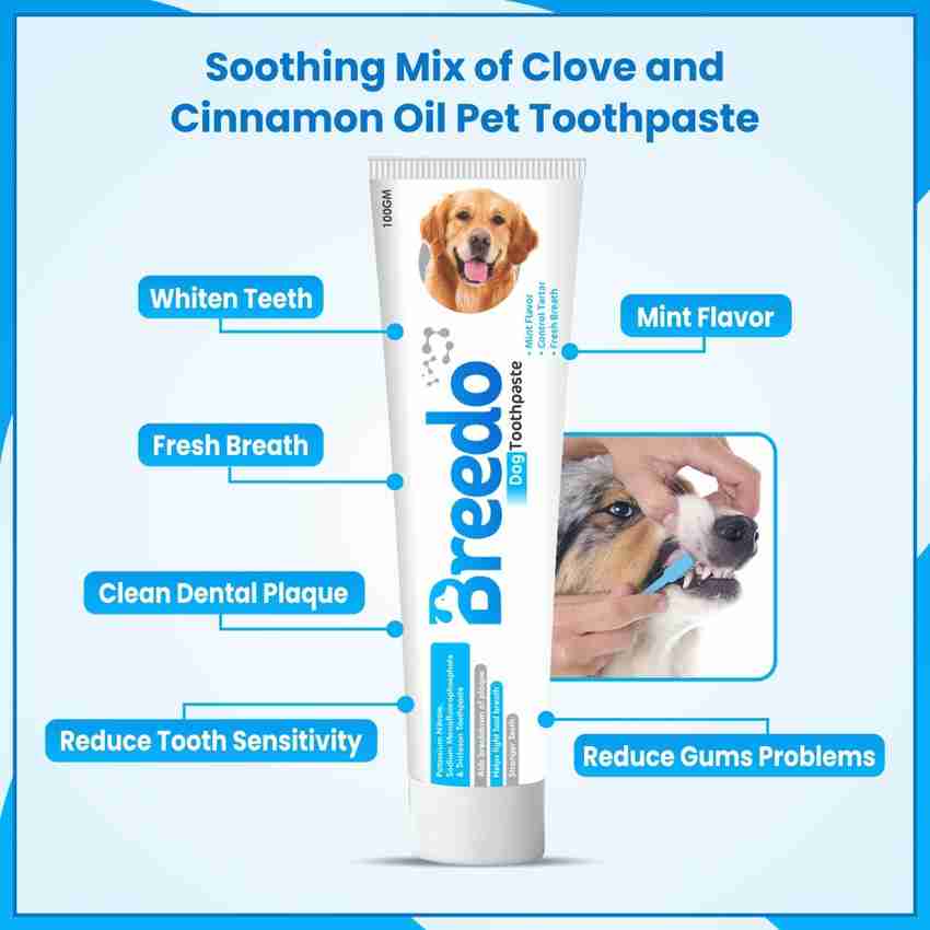 Breedo Cool Mint Toothpaste and 3Pcs Dog Toothbrush Combo for Dogs 100g Pet Toothpaste