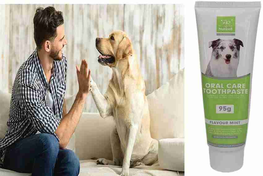 Mint flavored dog toothpaste top