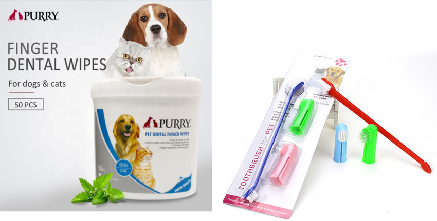 Pet dental top wipes