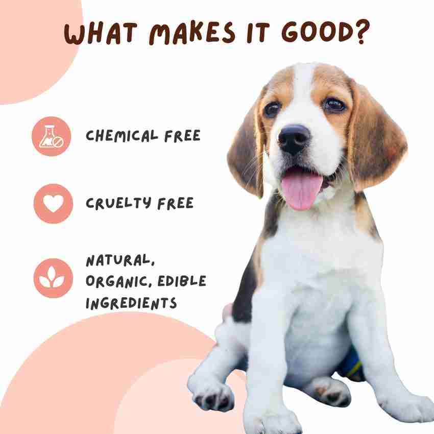 Coconut oil dog toothpaste cheap