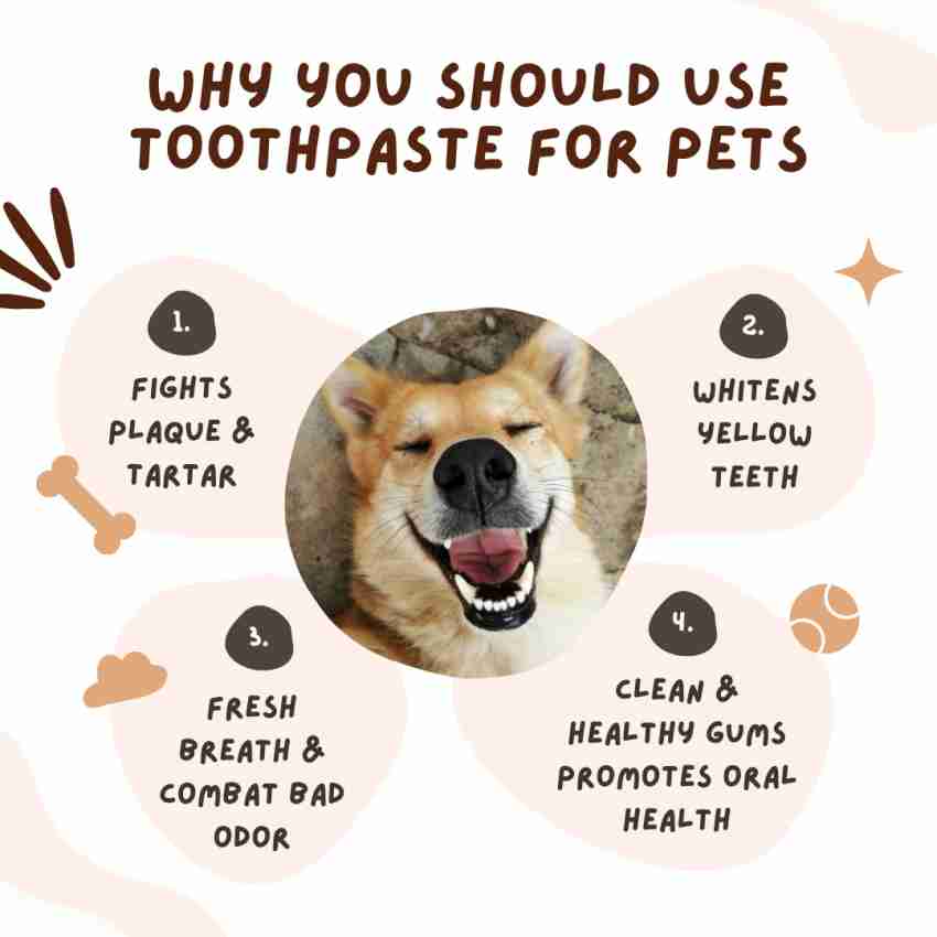 Can you use online toothpaste on dogs