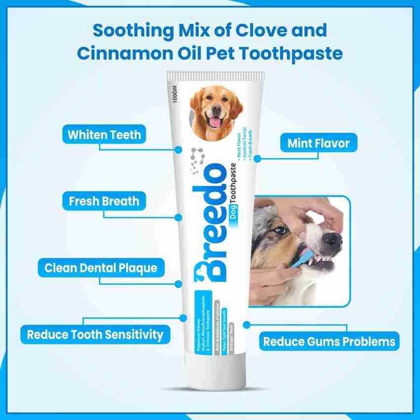 Breedo Cool Mint Toothpaste and 1Pcs Dog Toothbrush Combo for Dogs 100g Pet Toothpaste
