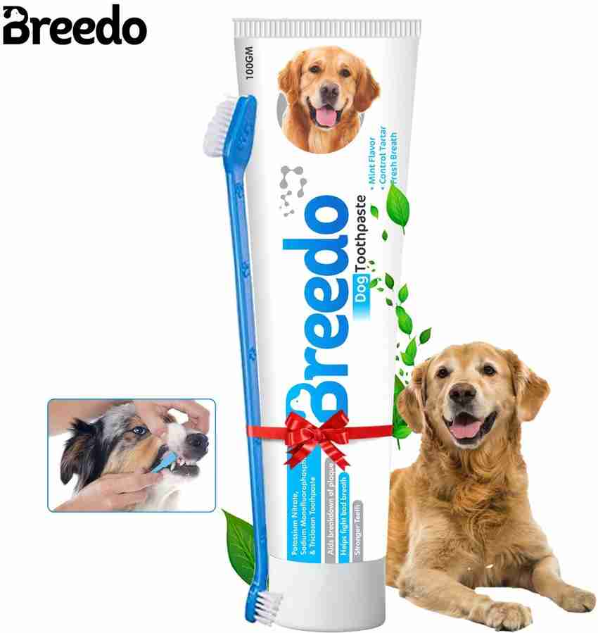 Dog toothbrush toothpaste hotsell