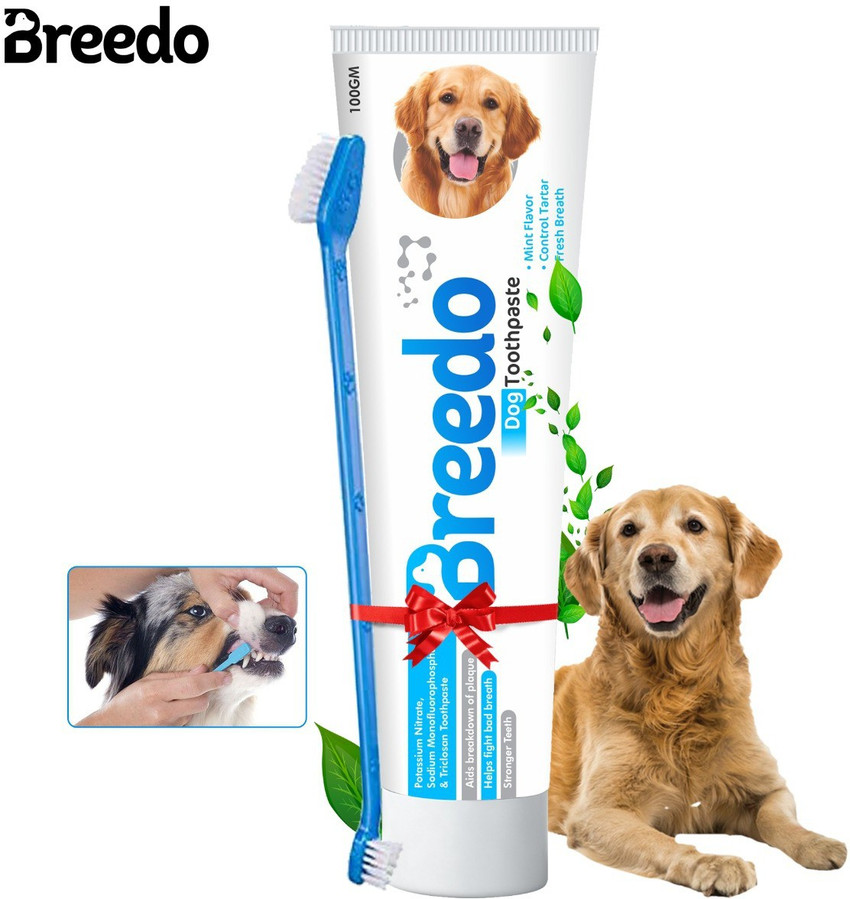 Cheap dog toothpaste store