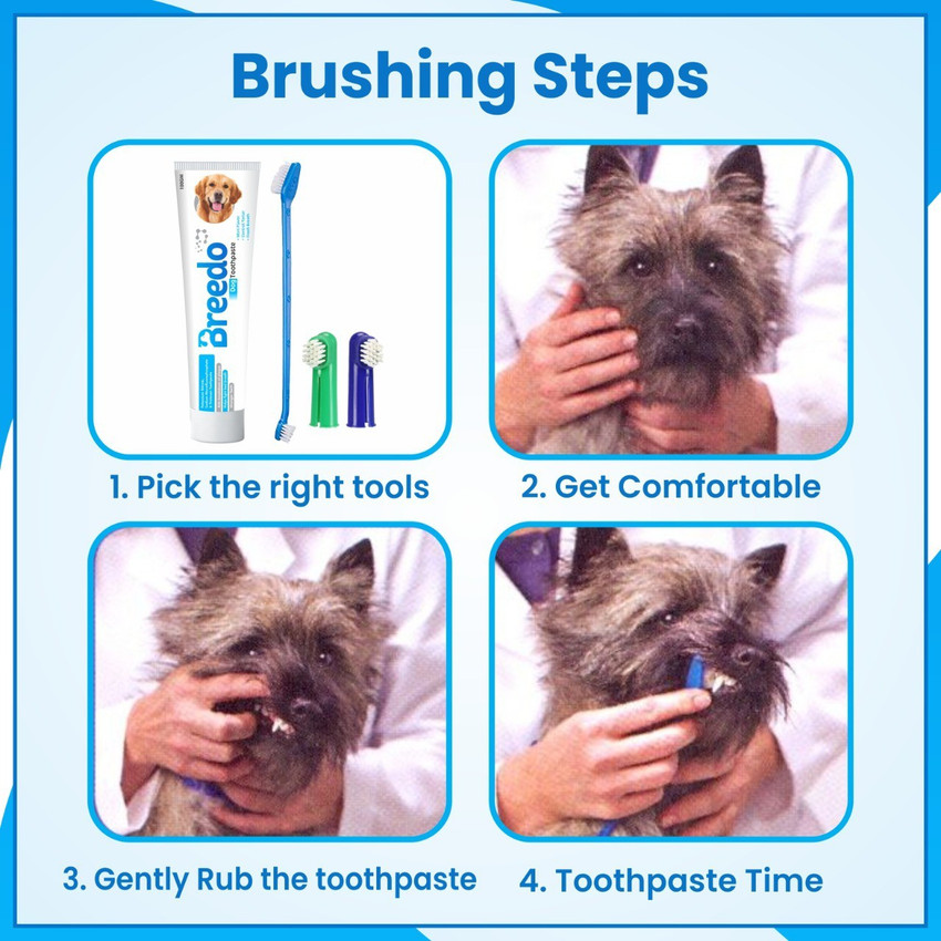 Dog toothbrush toothpaste hotsell