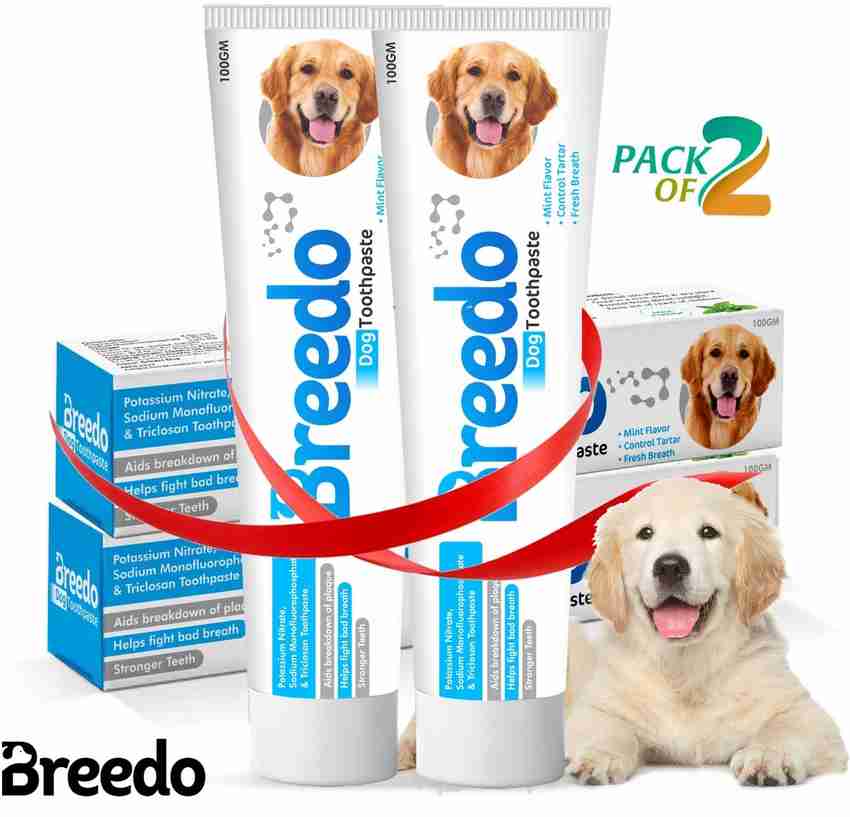Dogs and toothpaste online