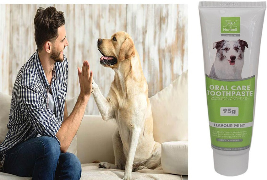 Flavored dog toothpaste shop