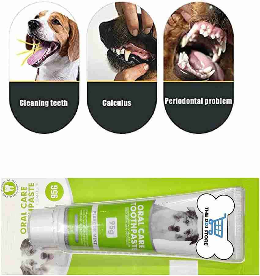 Enzyme 2024 dog toothpaste