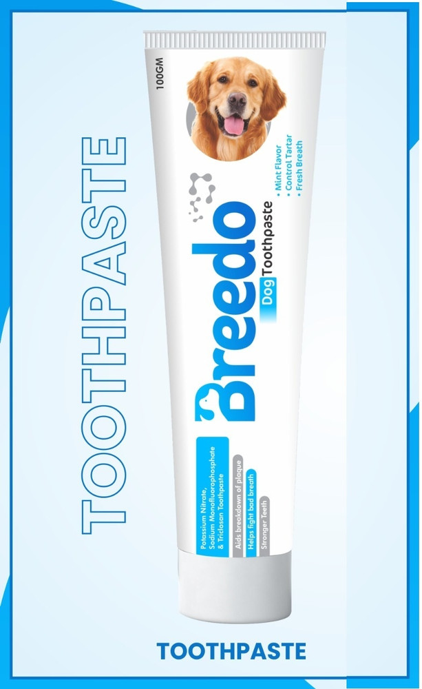 Is mint toothpaste bad for dogs store