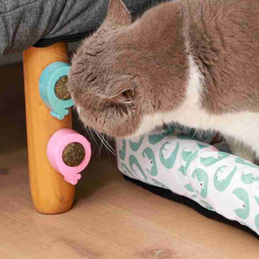 3 Pack Of Cat Paw Catnip Toys, Teeth Cleaning Cat Toy, Rotatable