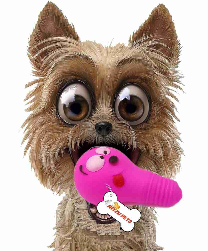 Funny dog chew toys clearance
