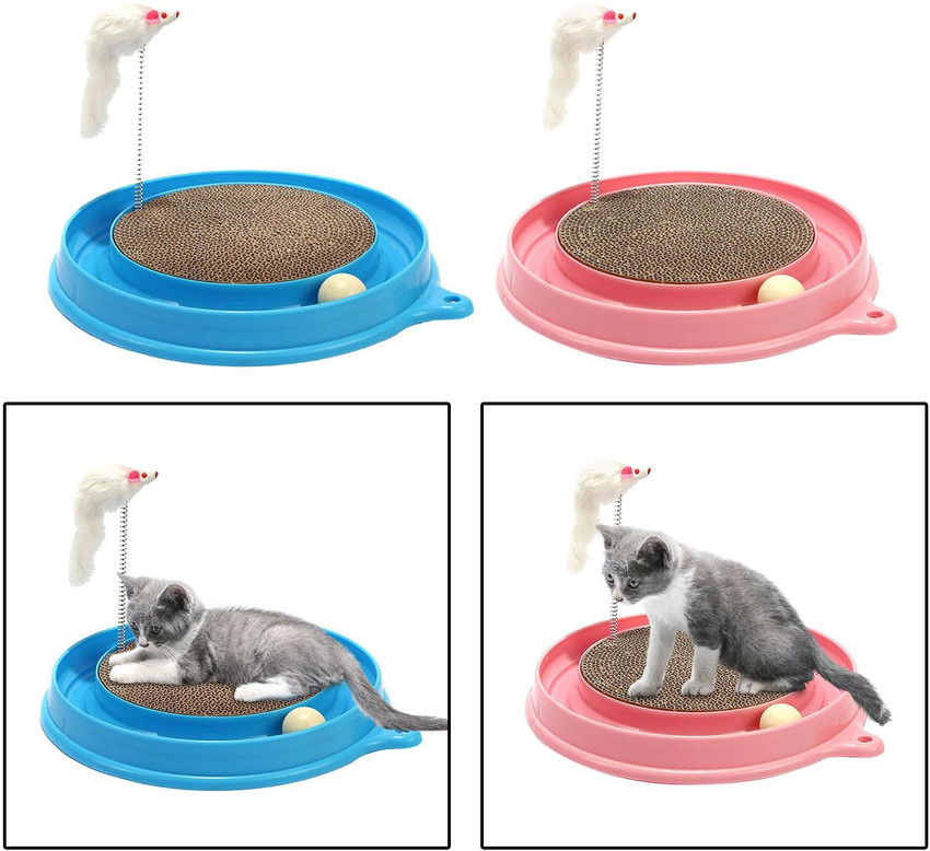 Round cat shop toy with ball