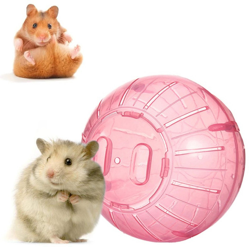 Hamster outlet plastic ball