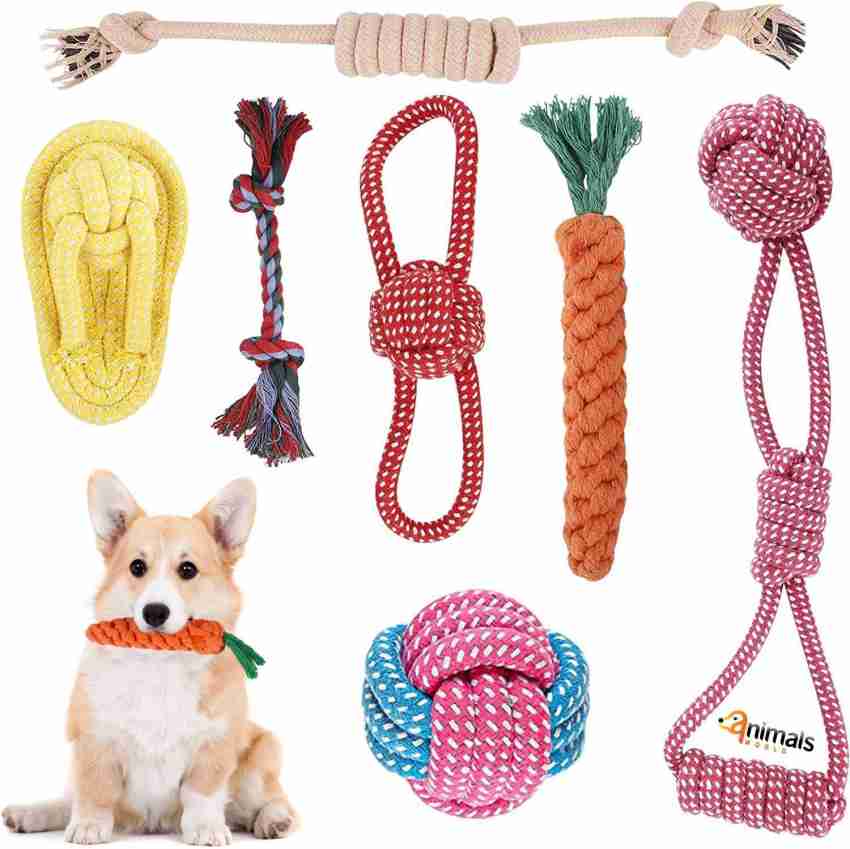 Animals World Dog Chew Toys Set