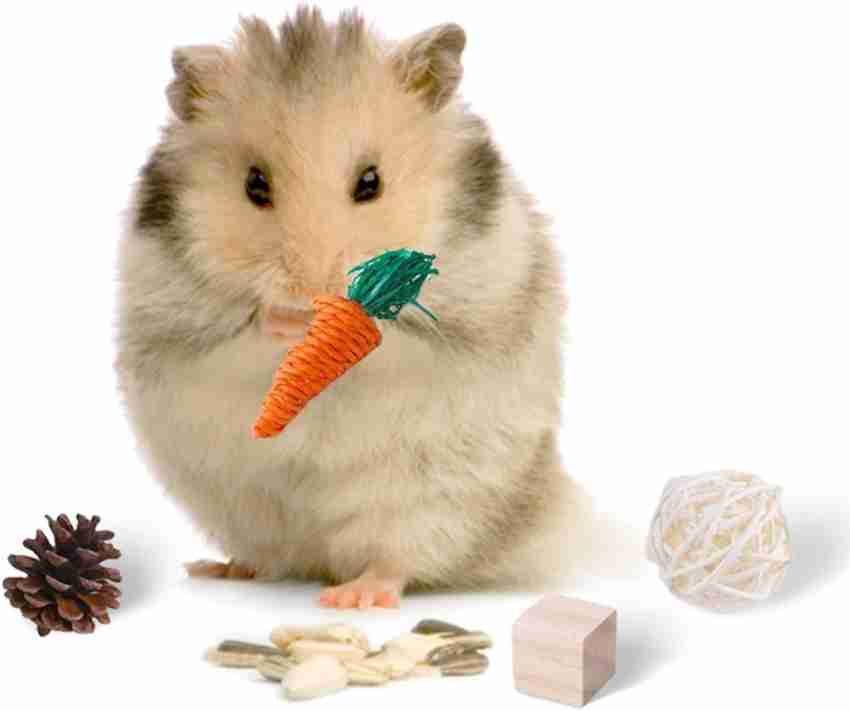 BNF 11X Hamster Chew Toys Set Bite Grind Teeth Toy Chinchilla Cage Accessories A Wooden Chew Toy For Hamster Price in India Buy BNF 11X Hamster Chew Toys Set Bite Grind