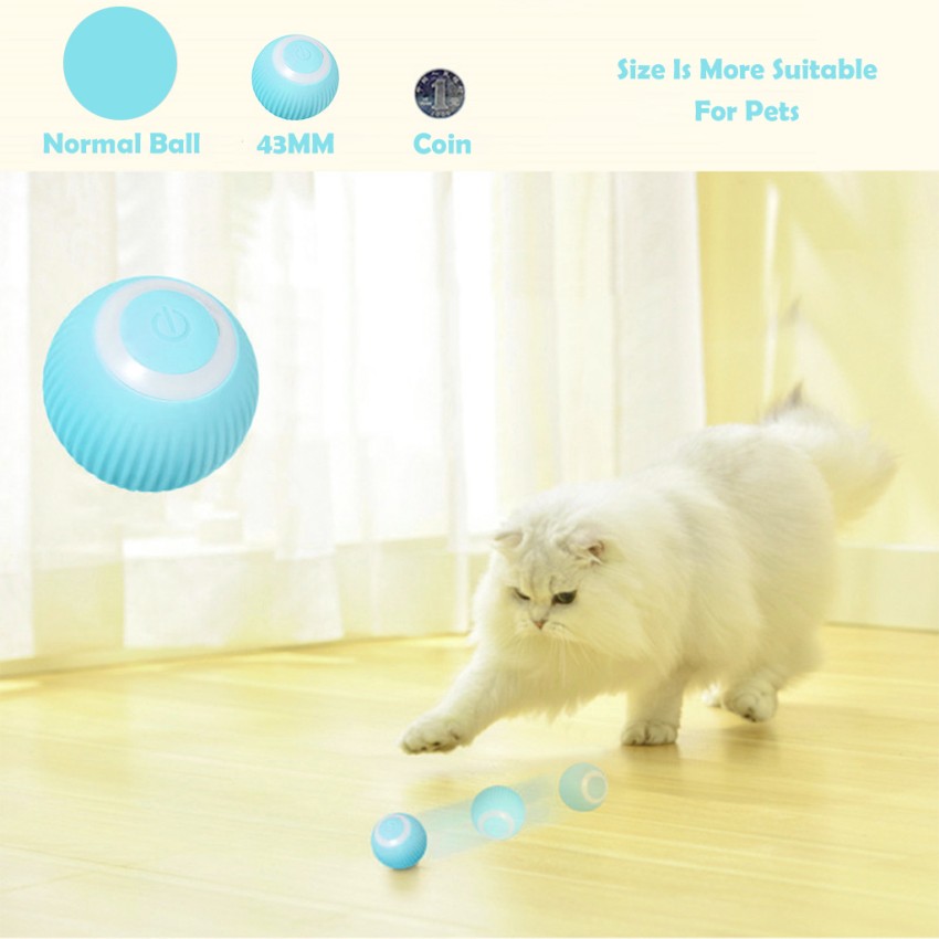 Qpets Plastic, Silicone Ball For Cat Price in India - Buy Qpets Plastic,  Silicone Ball For Cat online at