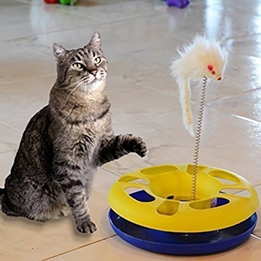 Catch the mouse shop motion cat toy