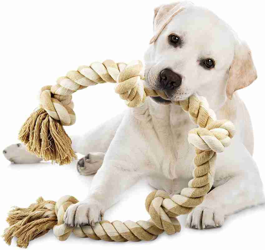 Puppy 2025 rope toys