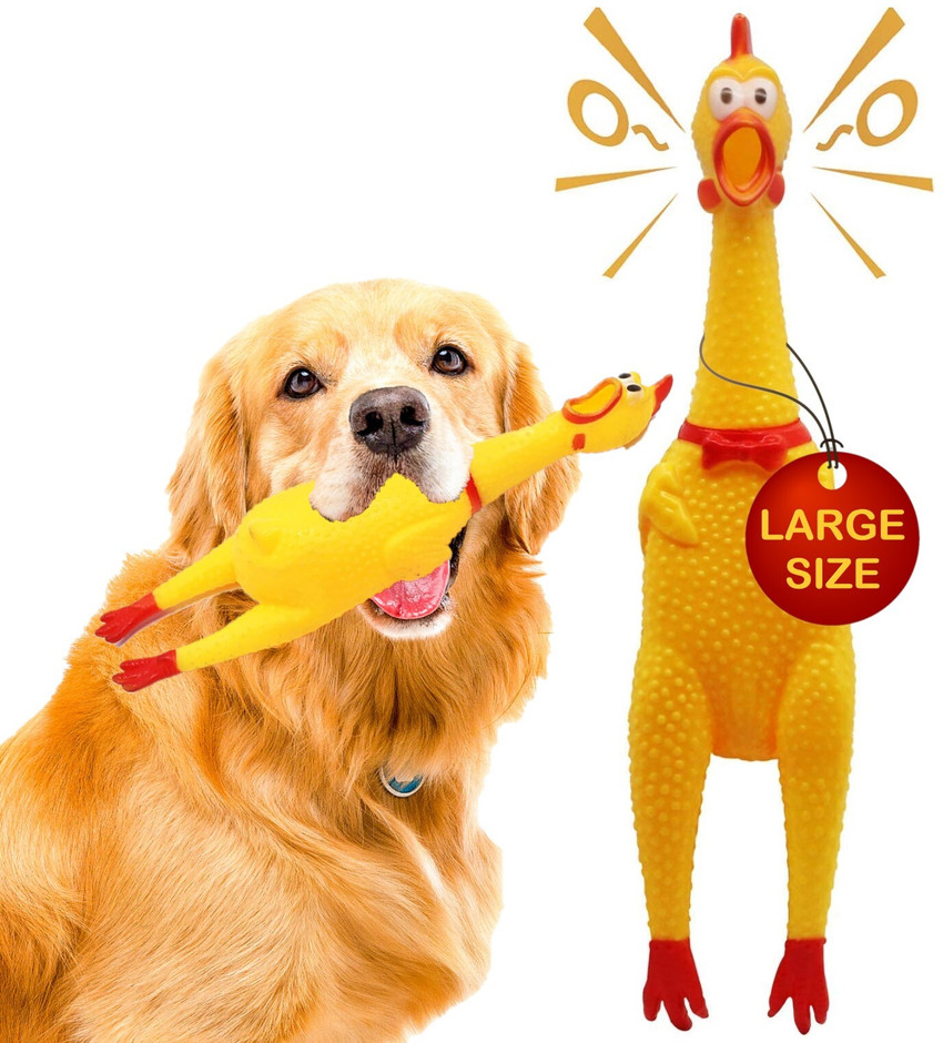 Free dog toys outlet