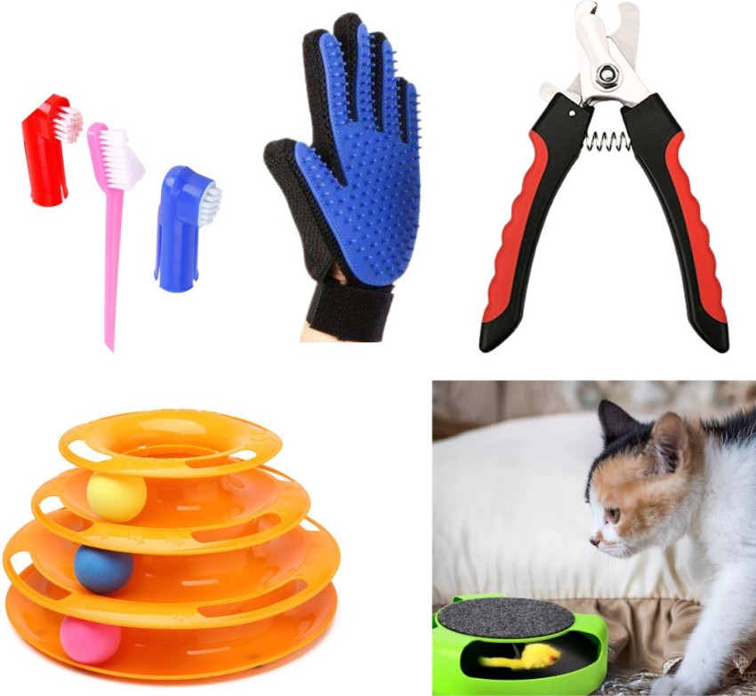 Glove 2024 cat toy