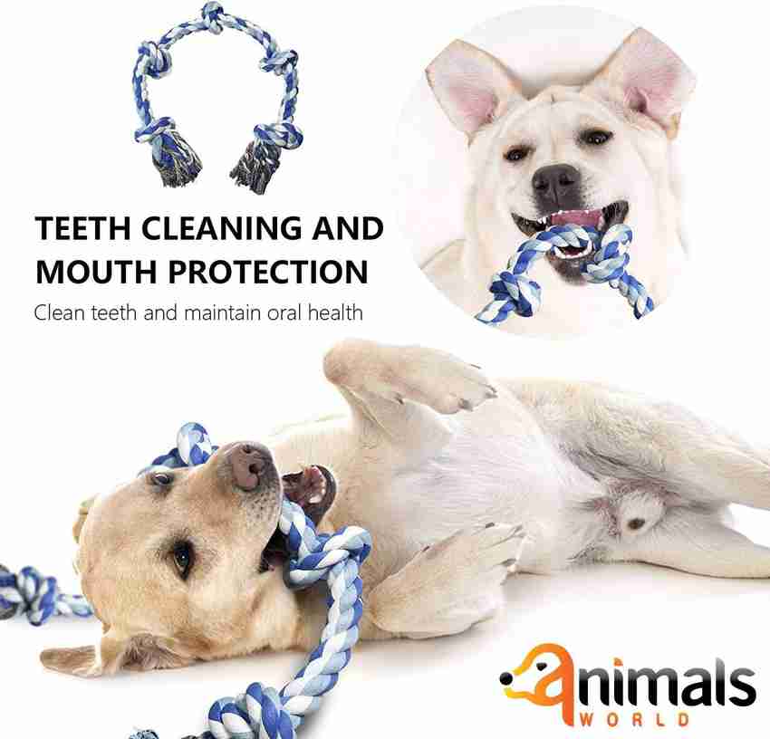 Can you wash online dog rope toys