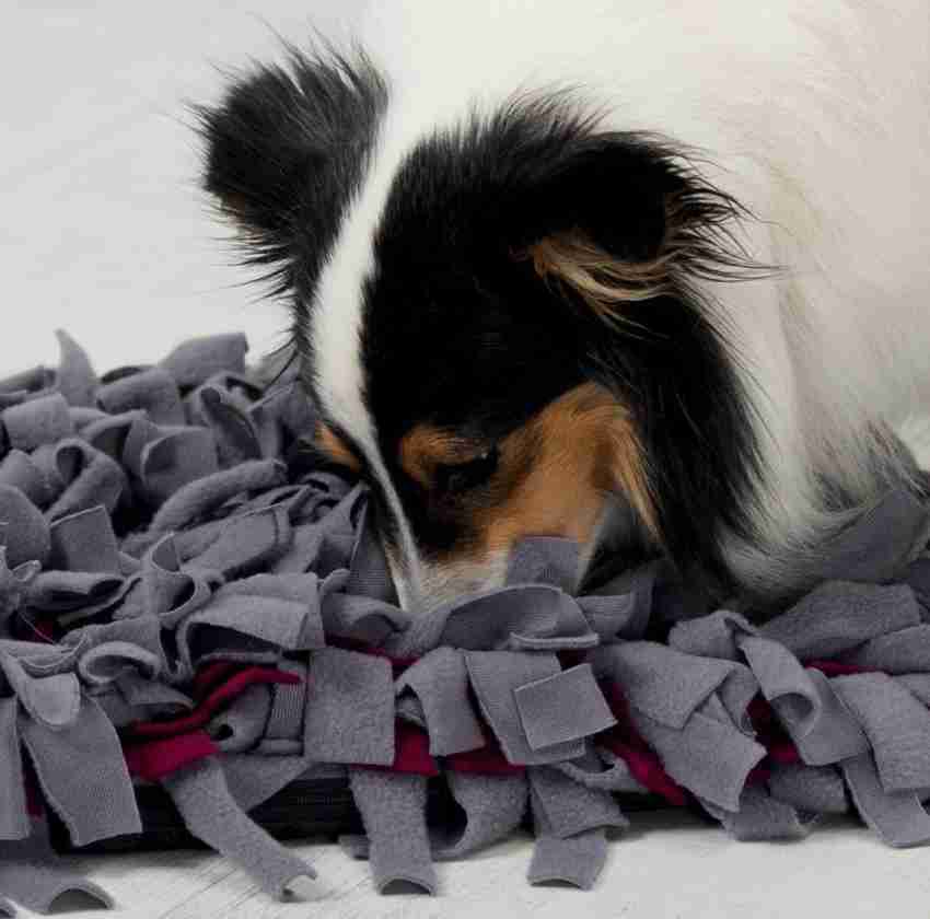 TRIXIE Sniffing Carpet Snack Game for Dogs