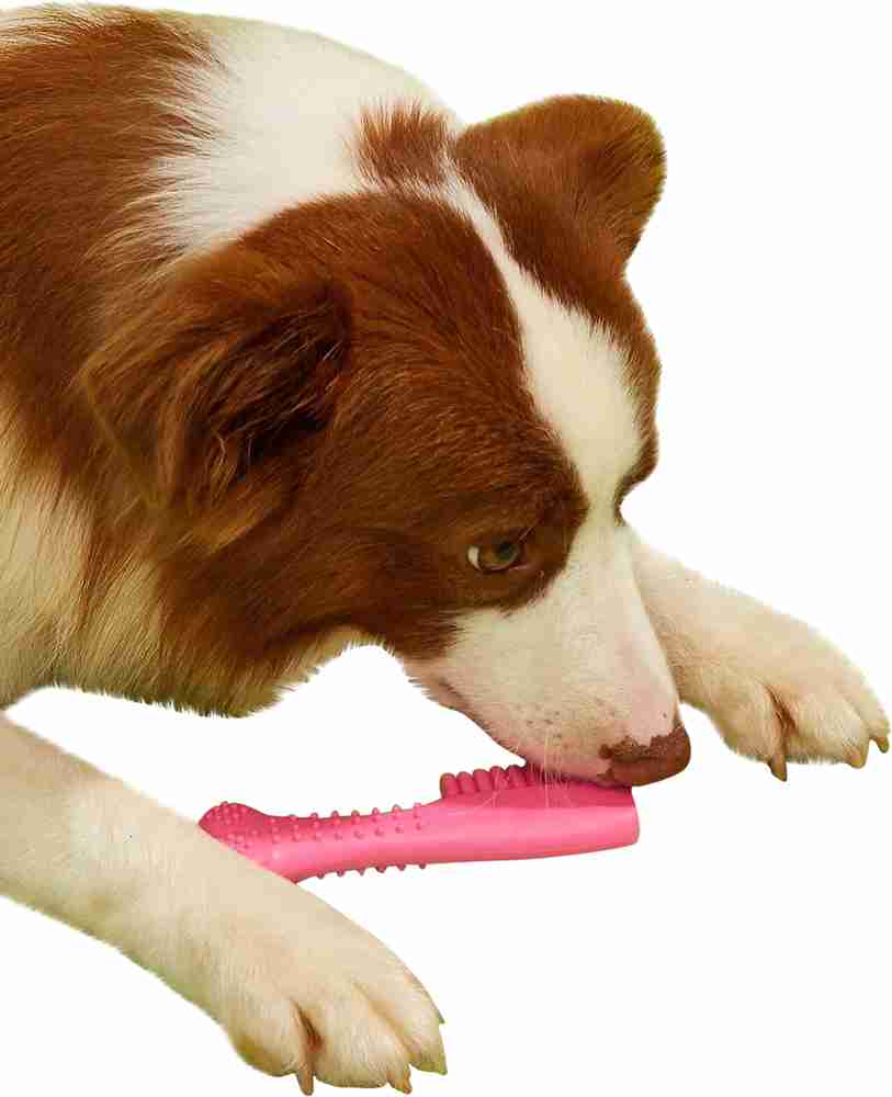 Food shaped dog toys 2025