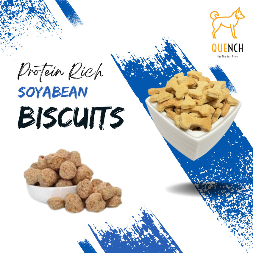 Quench Soyabean Hit Organic Dog Biscuits for adult and puppy Dog