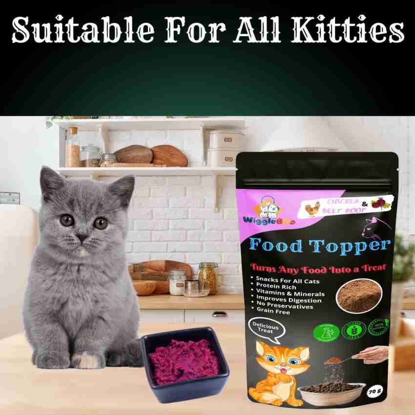 Best tasting cat outlet food